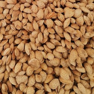 Kaghzi Almond