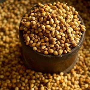 Coriander Seeds