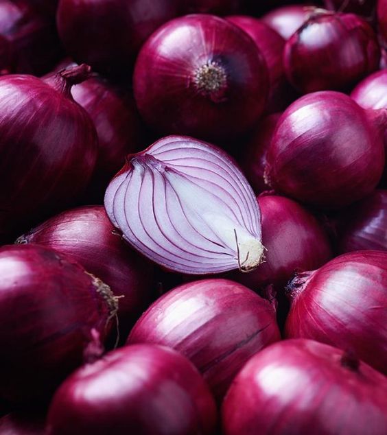 onion1